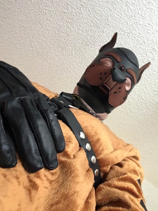 'Leather' Scooby-Doo