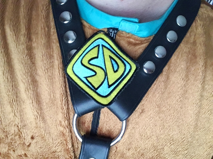 'Leather' Scooby-Doo