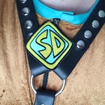 'Leather' Scooby-Doo