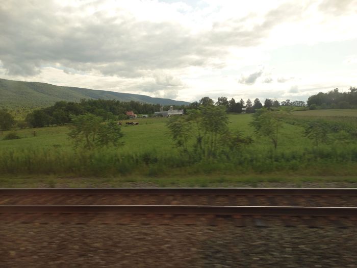 Amtrak