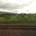 Amtrak