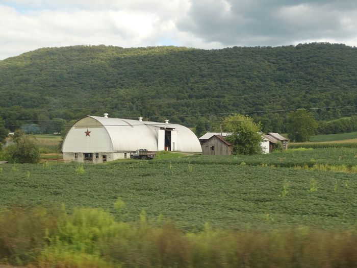 Amtrak