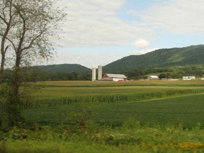 Amtrak