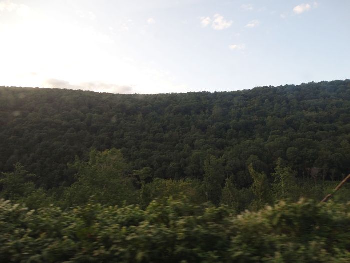 Amtrak