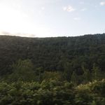 Amtrak