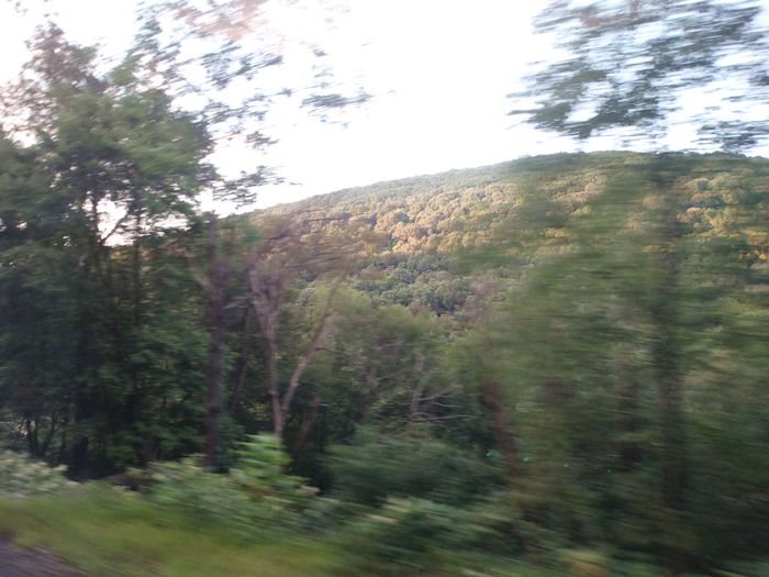 Amtrak