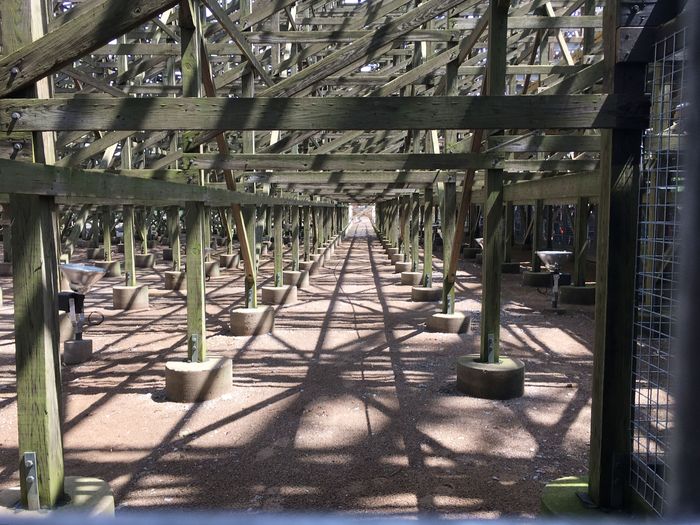 Steel Vengeance
