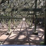 Steel Vengeance
