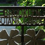 Brooklyn Botanic Garden
