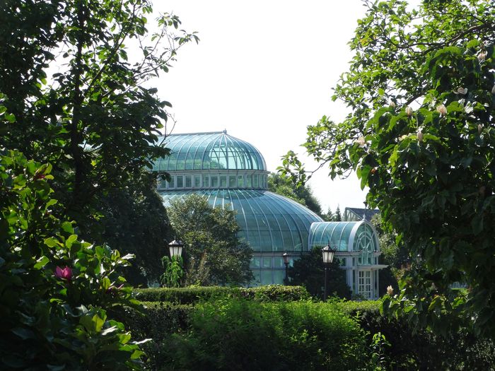 Brooklyn Botanic Garden