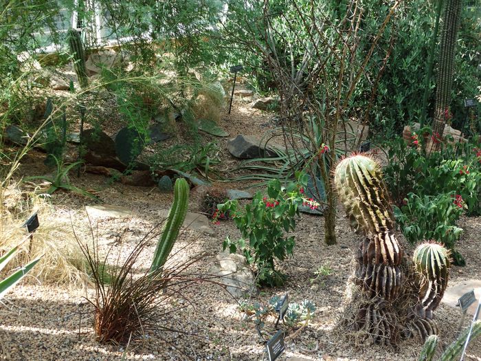 Brooklyn Botanic Garden