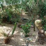 Brooklyn Botanic Garden