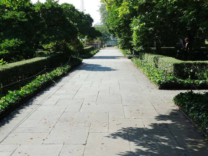Brooklyn Botanic Garden