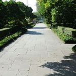 Brooklyn Botanic Garden