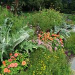 Brooklyn Botanic Garden