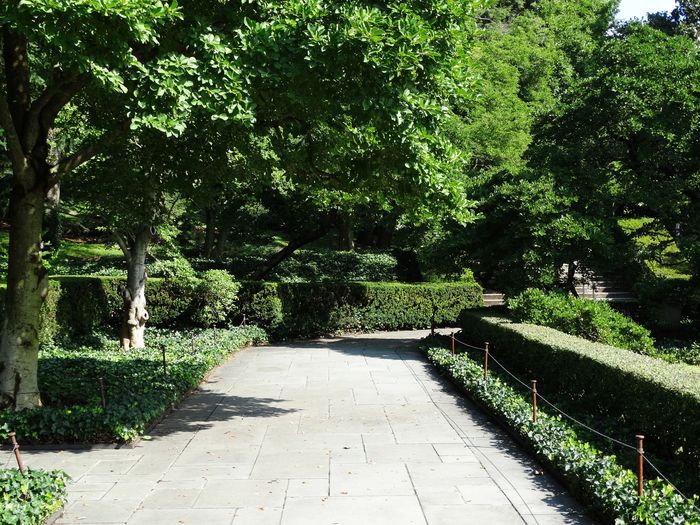 Brooklyn Botanic Garden