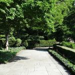 Brooklyn Botanic Garden