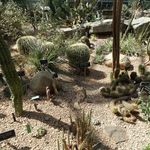 Brooklyn Botanic Garden