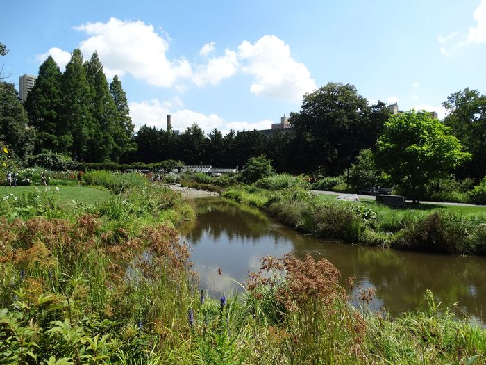 Brooklyn Botanic Garden