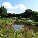 Brooklyn Botanic Garden