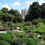 Brooklyn Botanic Garden