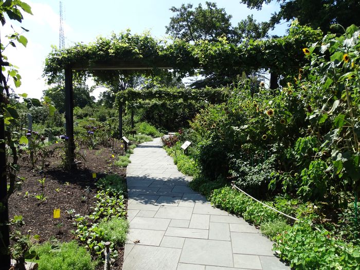 Brooklyn Botanic Garden