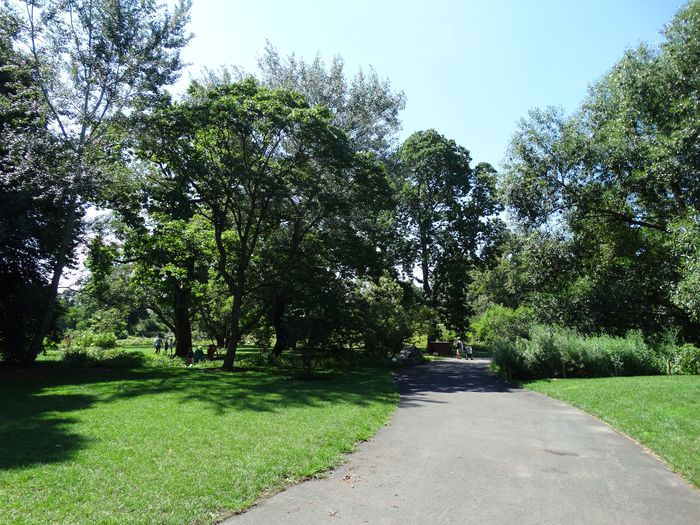 Brooklyn Botanic Garden