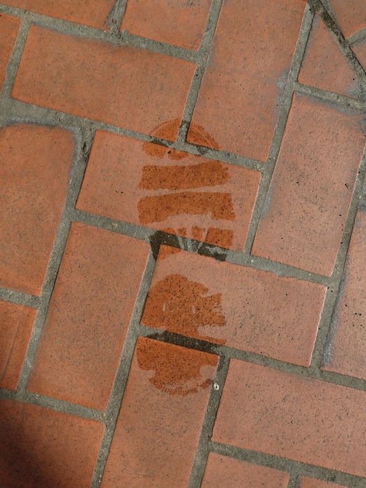 My Footprint