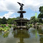 Central Park