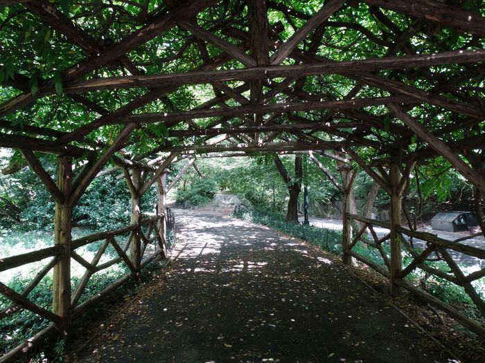 Central Park