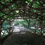 Central Park