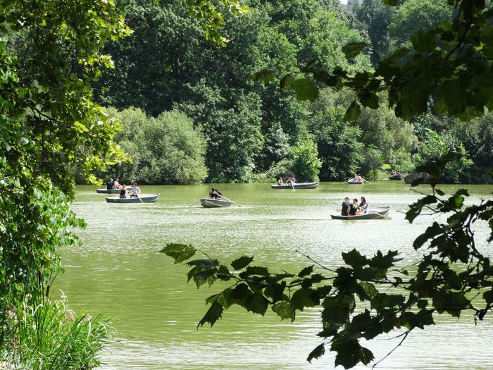 Central Park