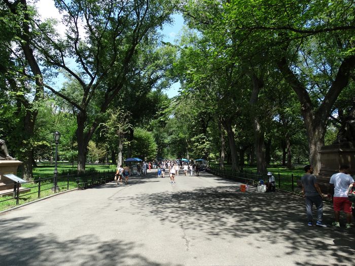 Central Park