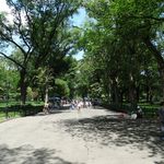 Central Park