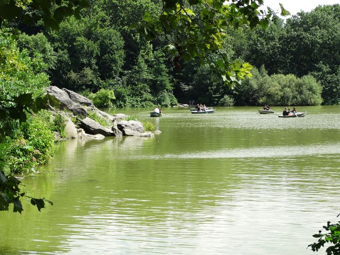 Central Park