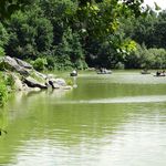 Central Park