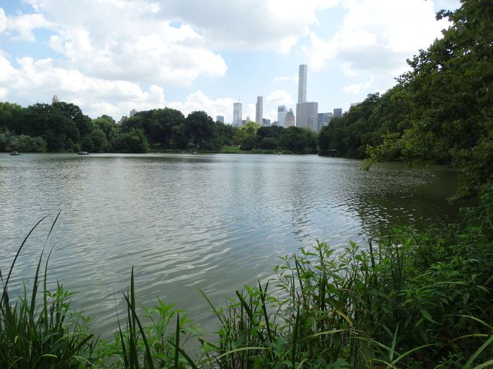 Central Park