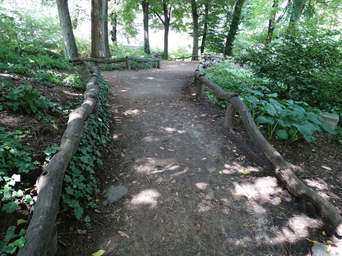 Central Park