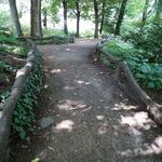 Central Park
