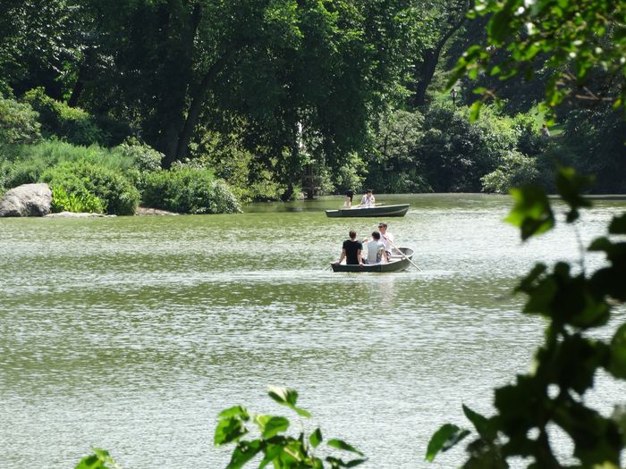 Central Park