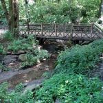 Central Park