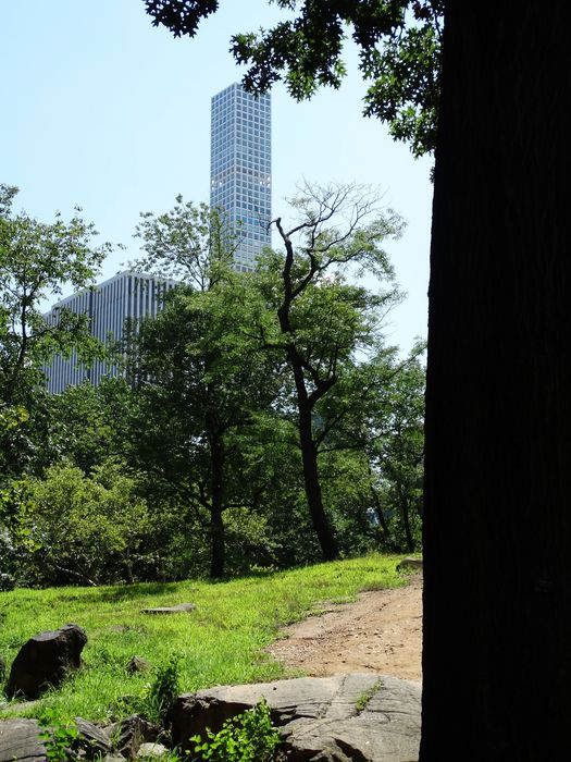 Central Park