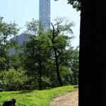 Central Park
