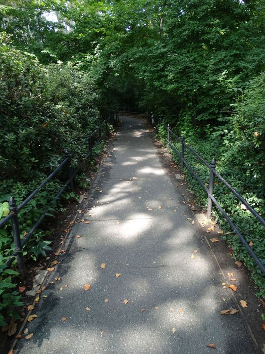 Central Park