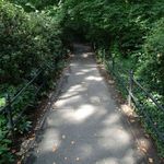Central Park