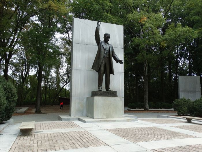 Theodore Roosevelt Memorial