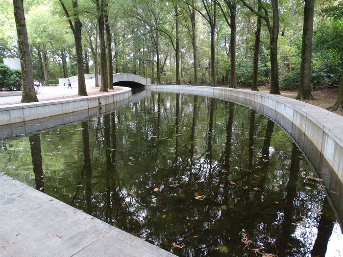 Theodore Roosevelt Memorial