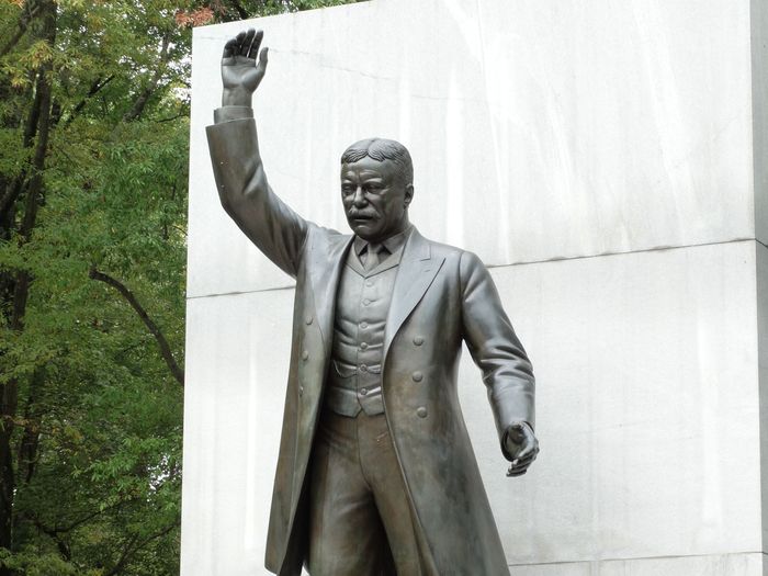 Theodore Roosevelt Memorial