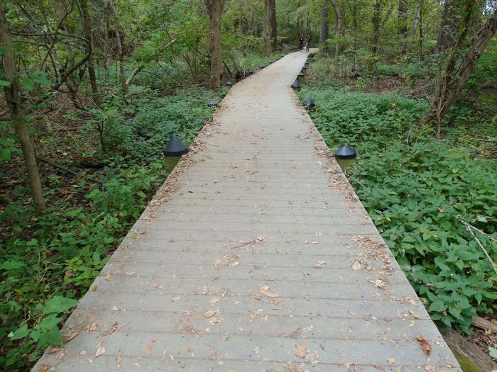 Theodore Roosevelt Island