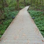 Theodore Roosevelt Island